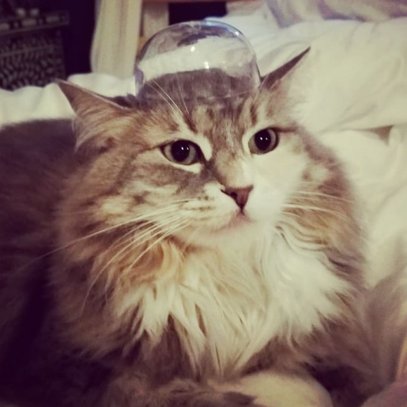 🌈❤CLOSING SHOP🌈❤GREAT DEALS🌈❤ - Picture 8 of 8